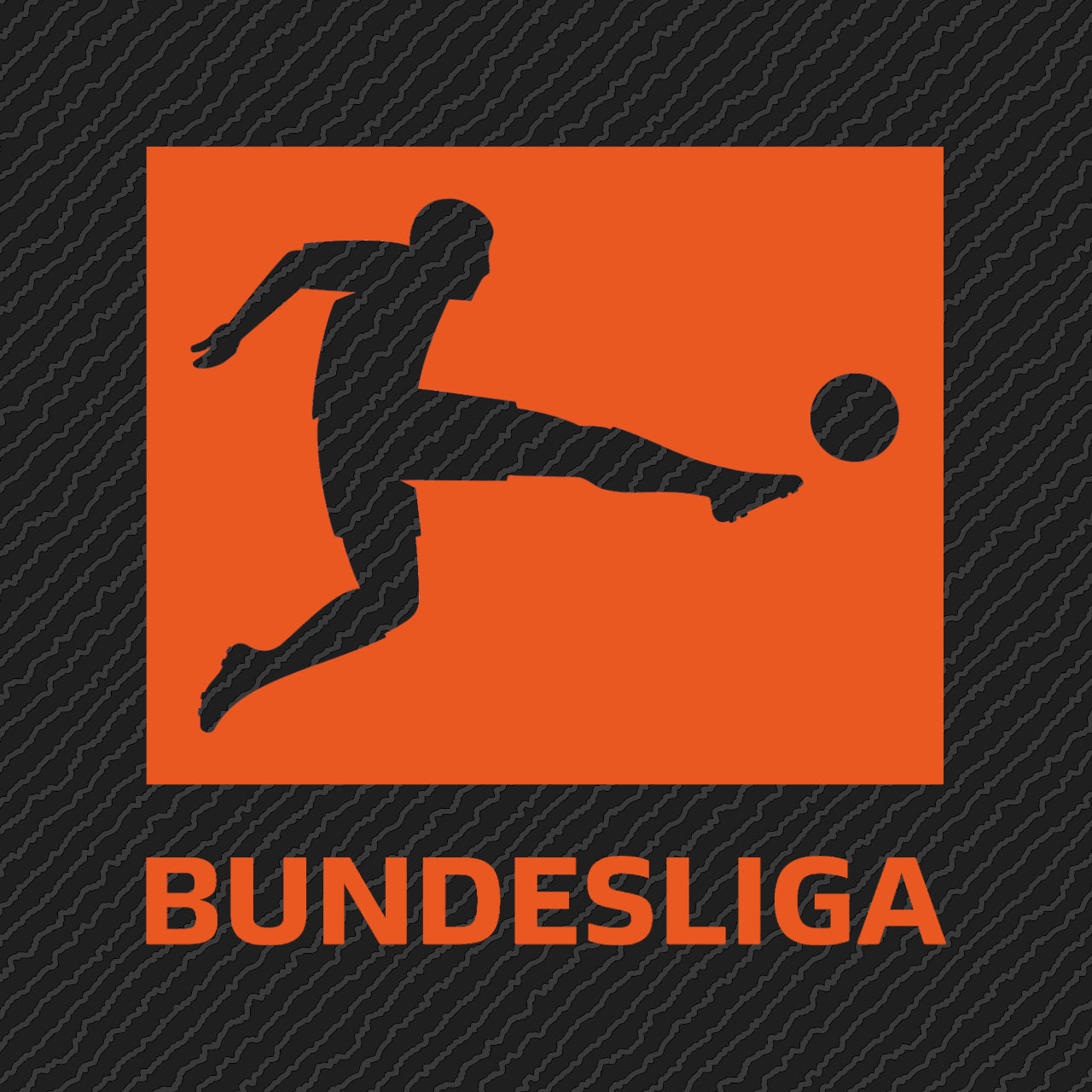 Bundesliga 2024/25