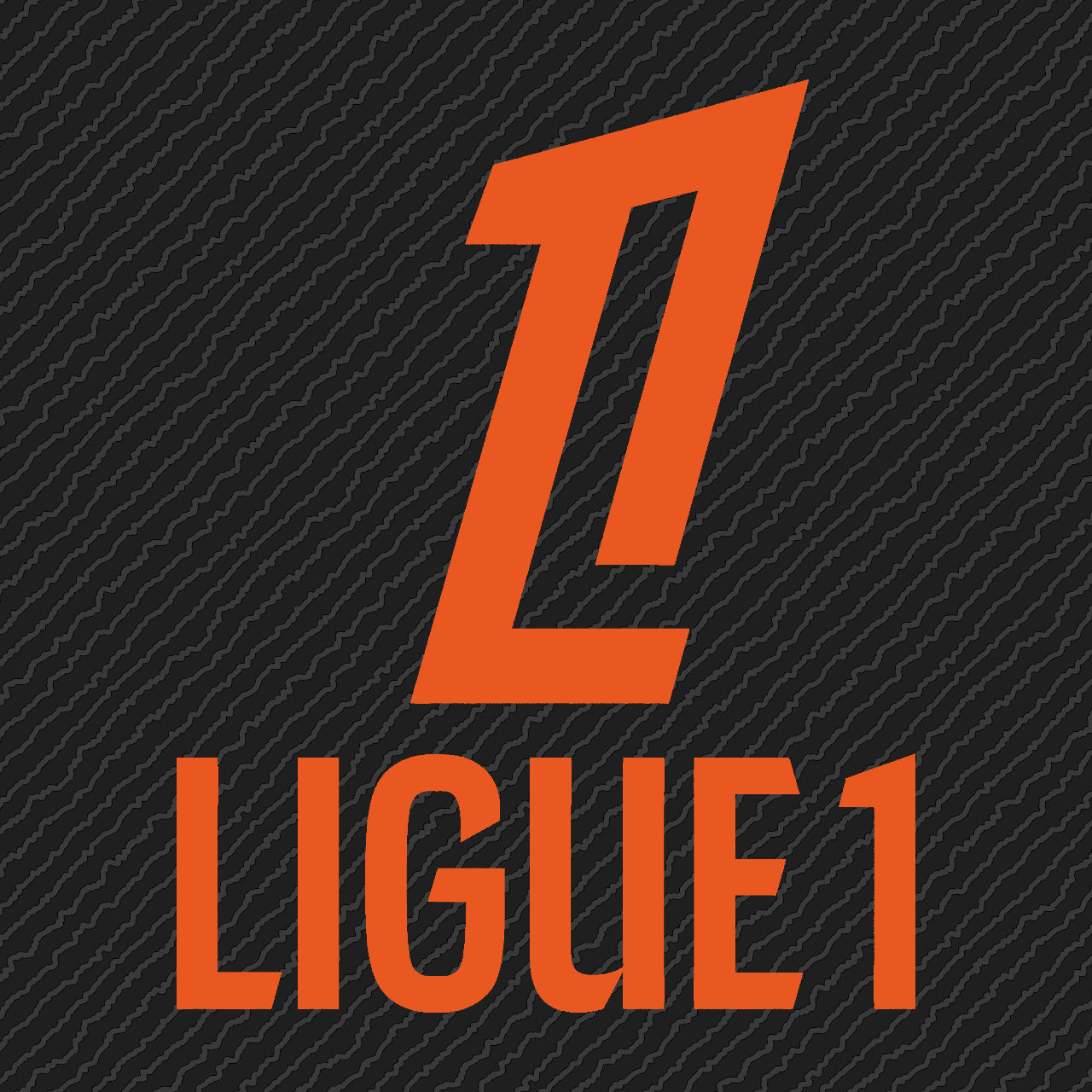 Ligue 1 - 2024/25